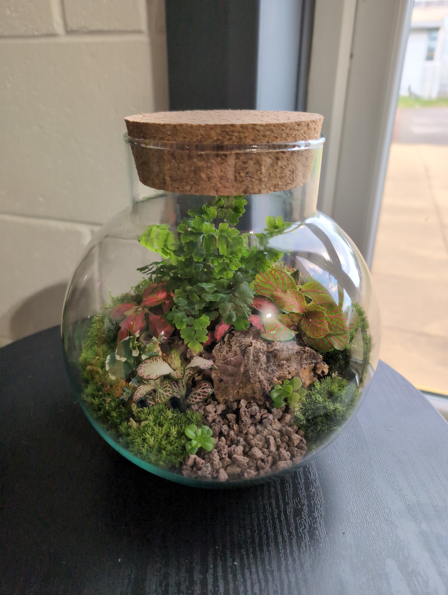 Ready-made Terrarium – George Jar