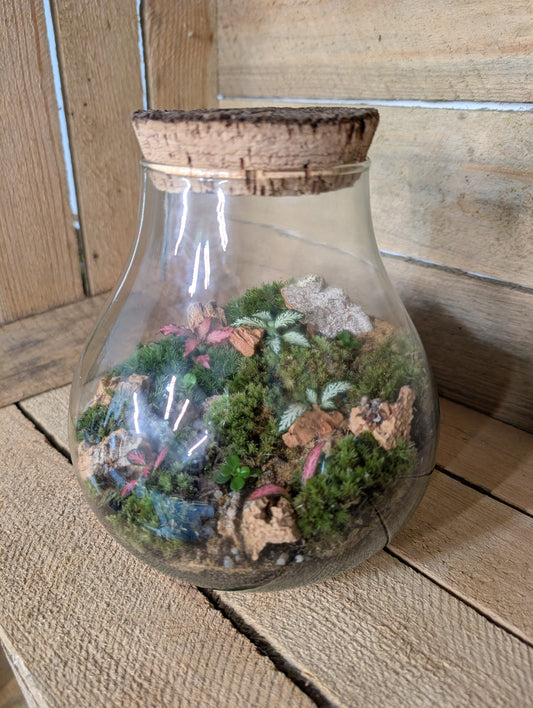 Ready-made Terrarium - 'Jasmine'