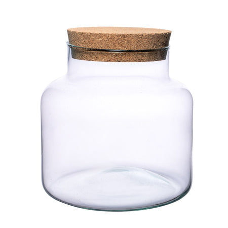 PREORDER - Ready-made Terrarium