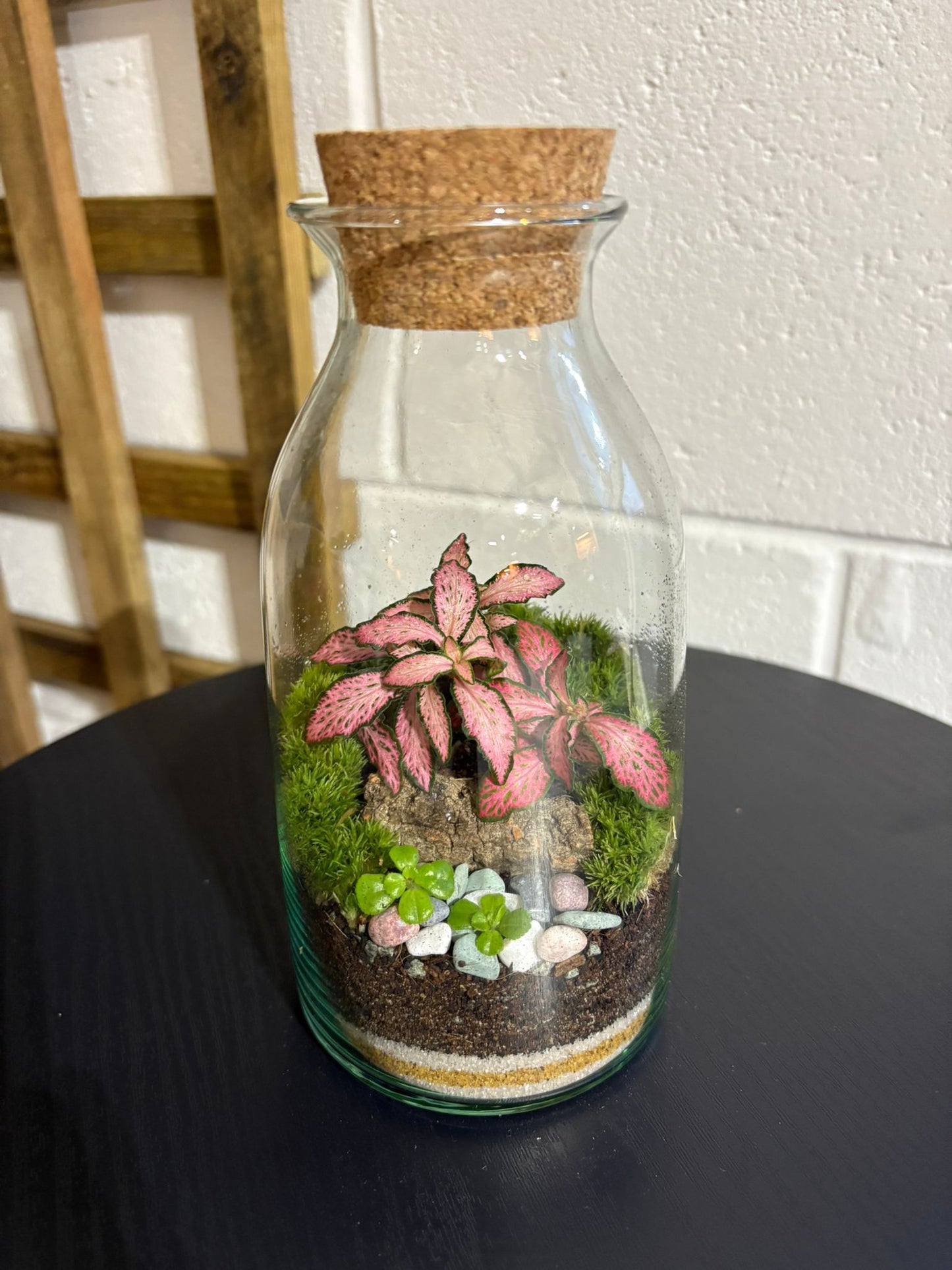 Ready-made Terrarium – Chloe Jar