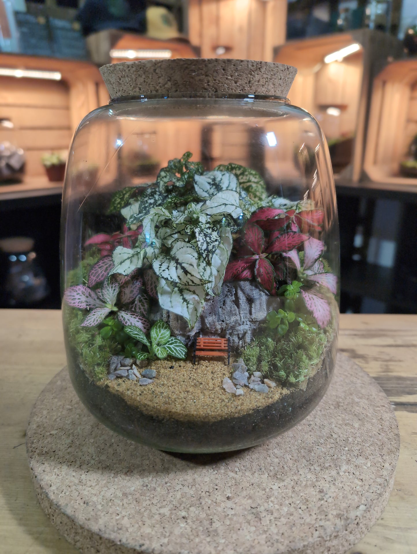 Ready-made Terrarium – Anna Jar