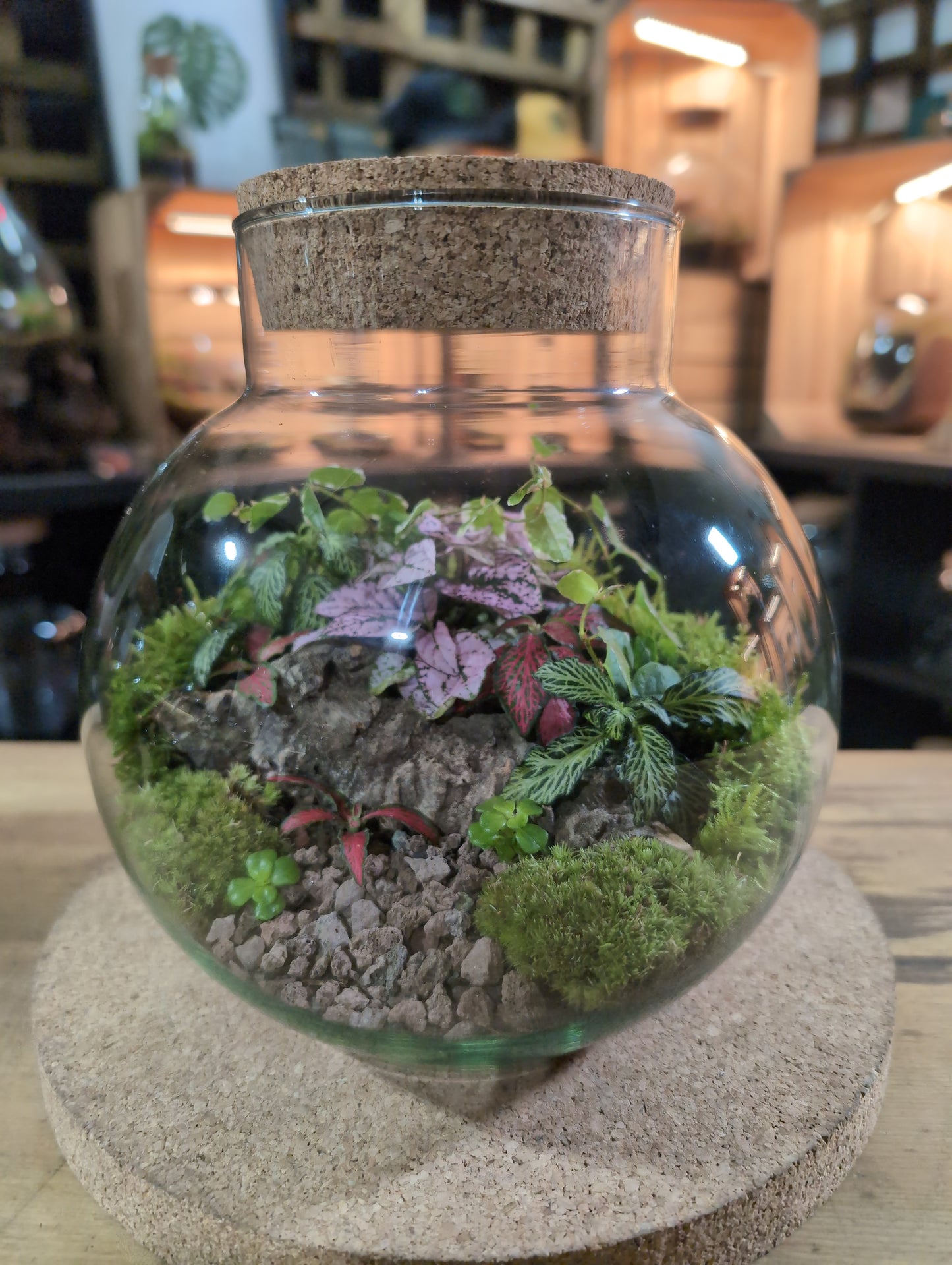 Ready-made Terrarium – George Jar
