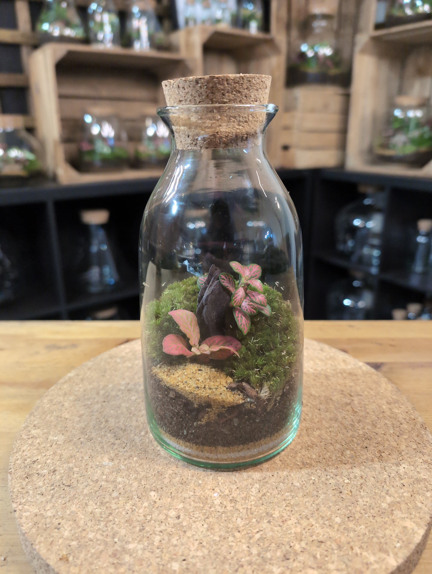 Ready-made Terrarium – Chloe Jar