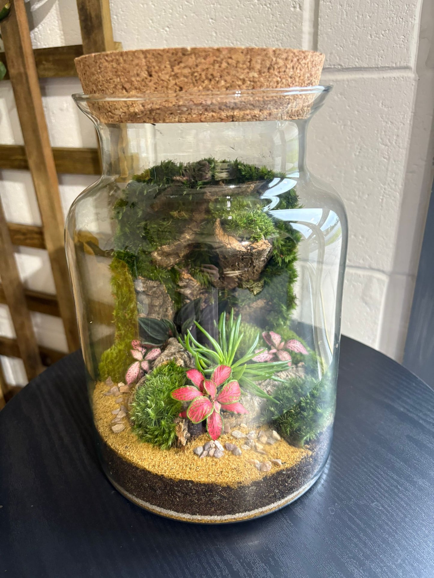 Ready-made Terrarium – Unique Jar