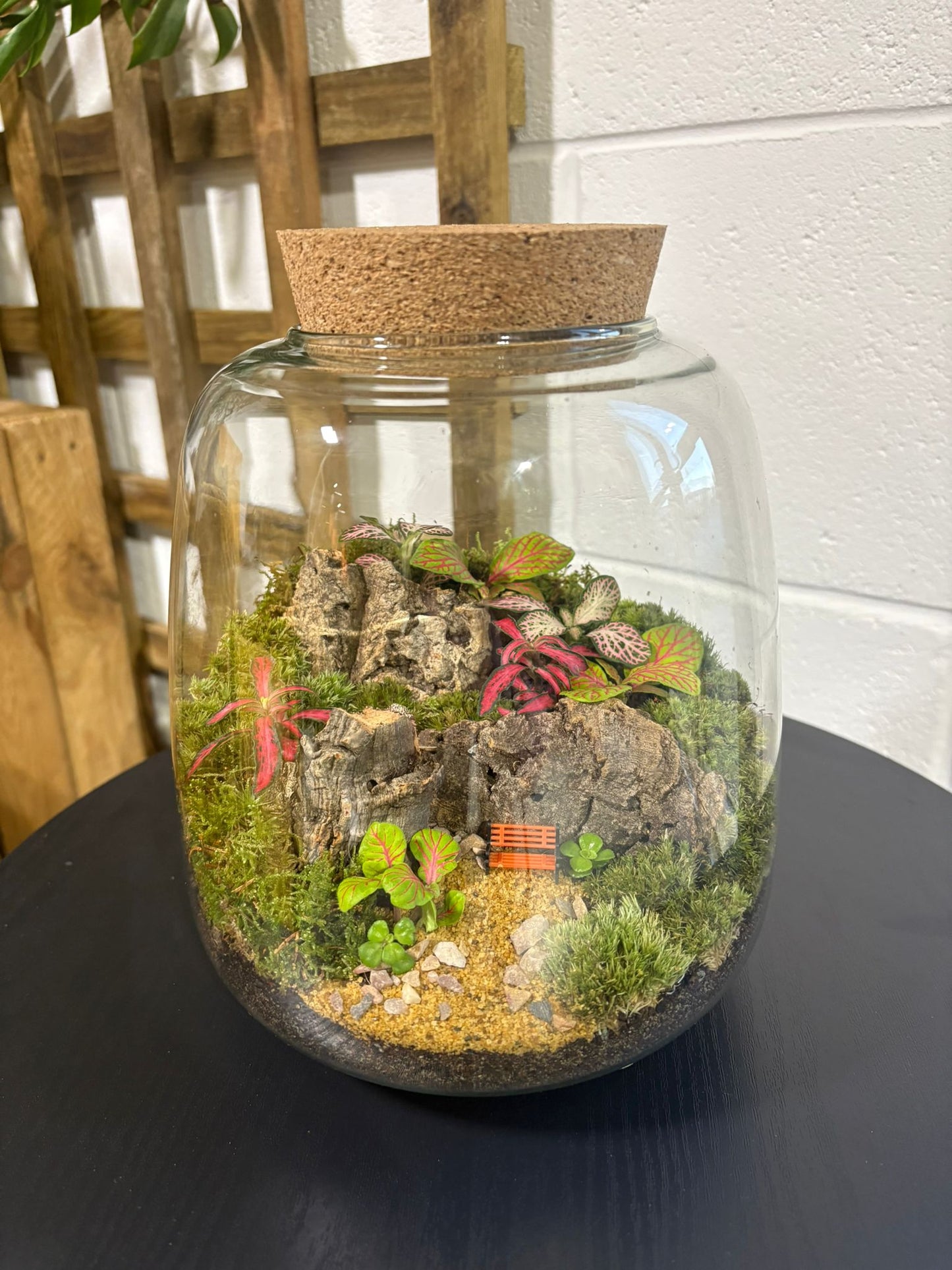 Ready-made Terrarium – Anna Jar