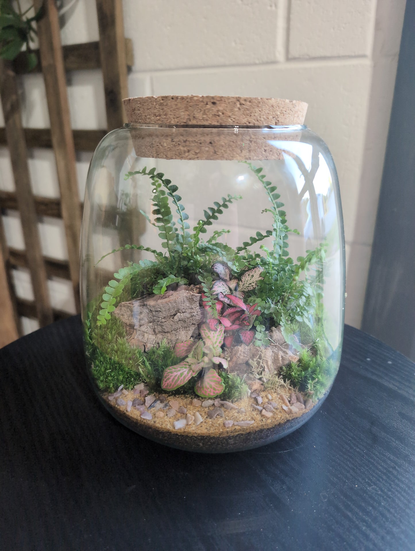 Ready-made Terrarium – Anna Jar