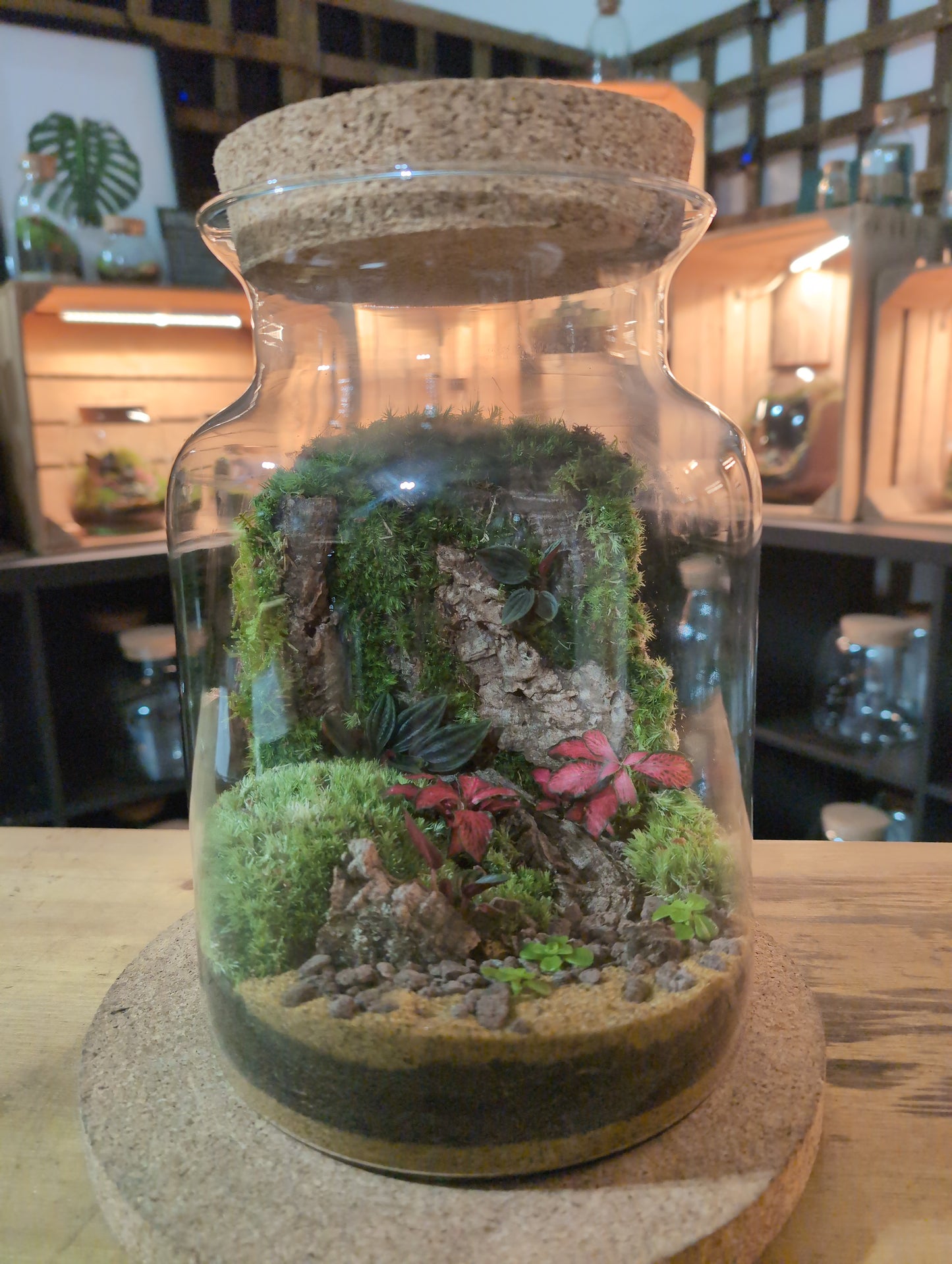 Ready-made Terrarium – Unique Jar