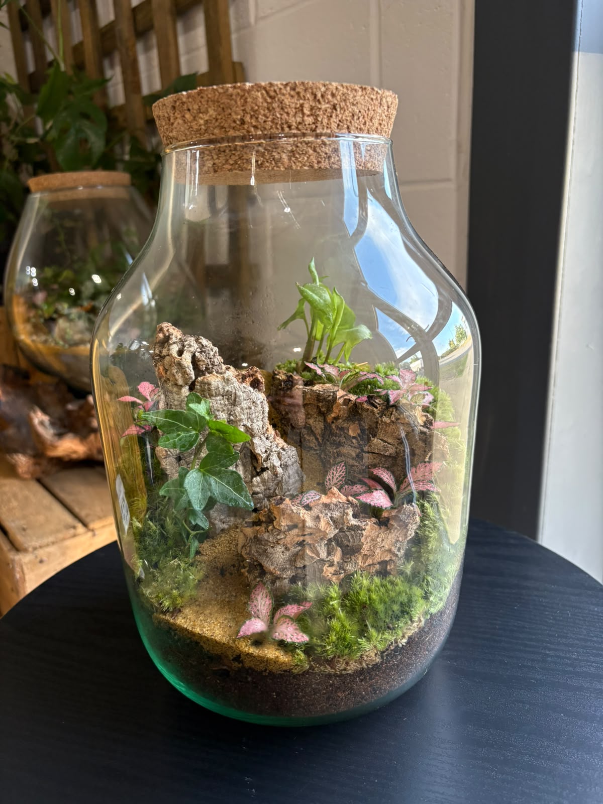 Ready-made Terrarium – Unique Jar