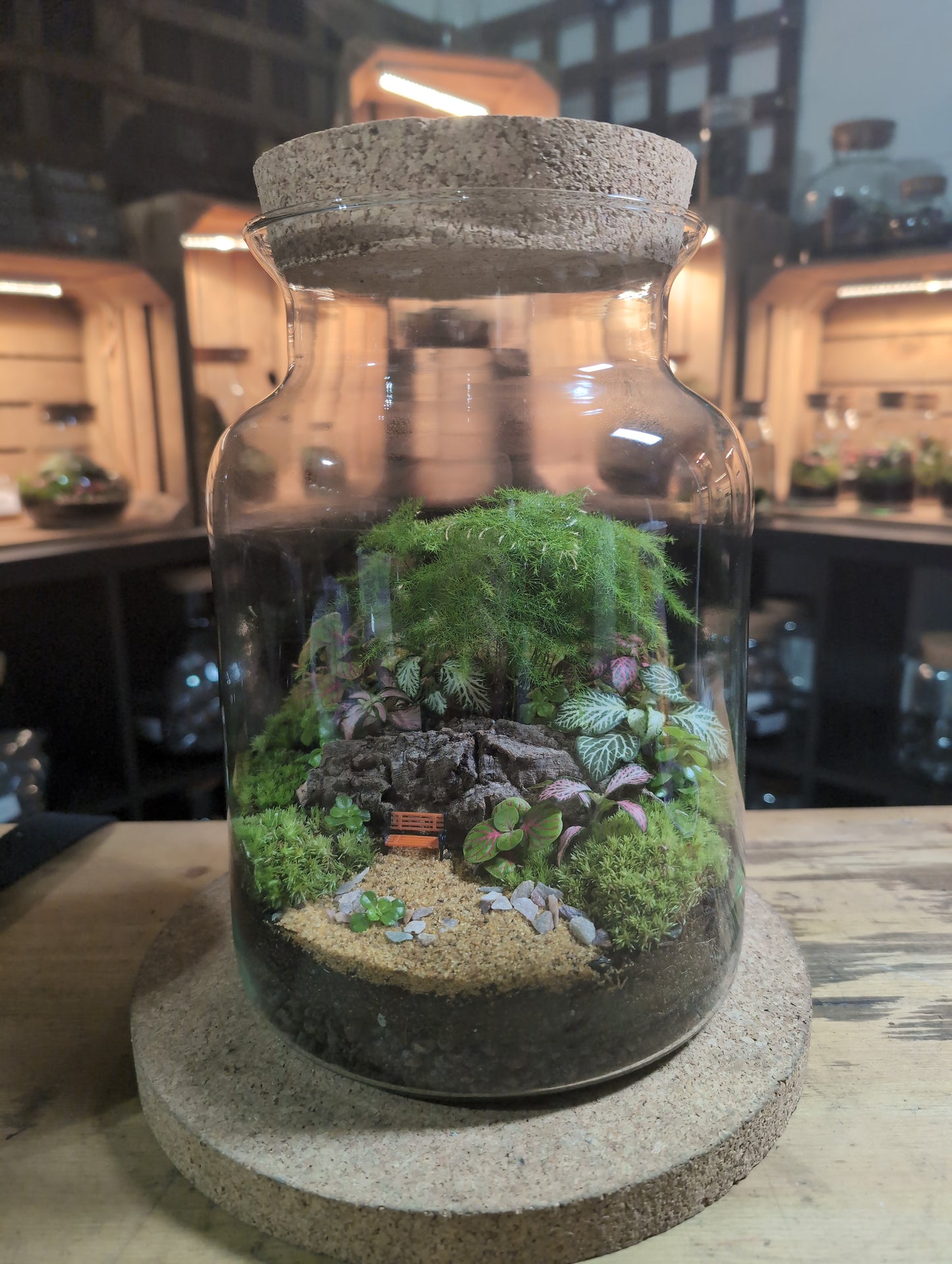 Ready-made Terrarium – Unique Jar