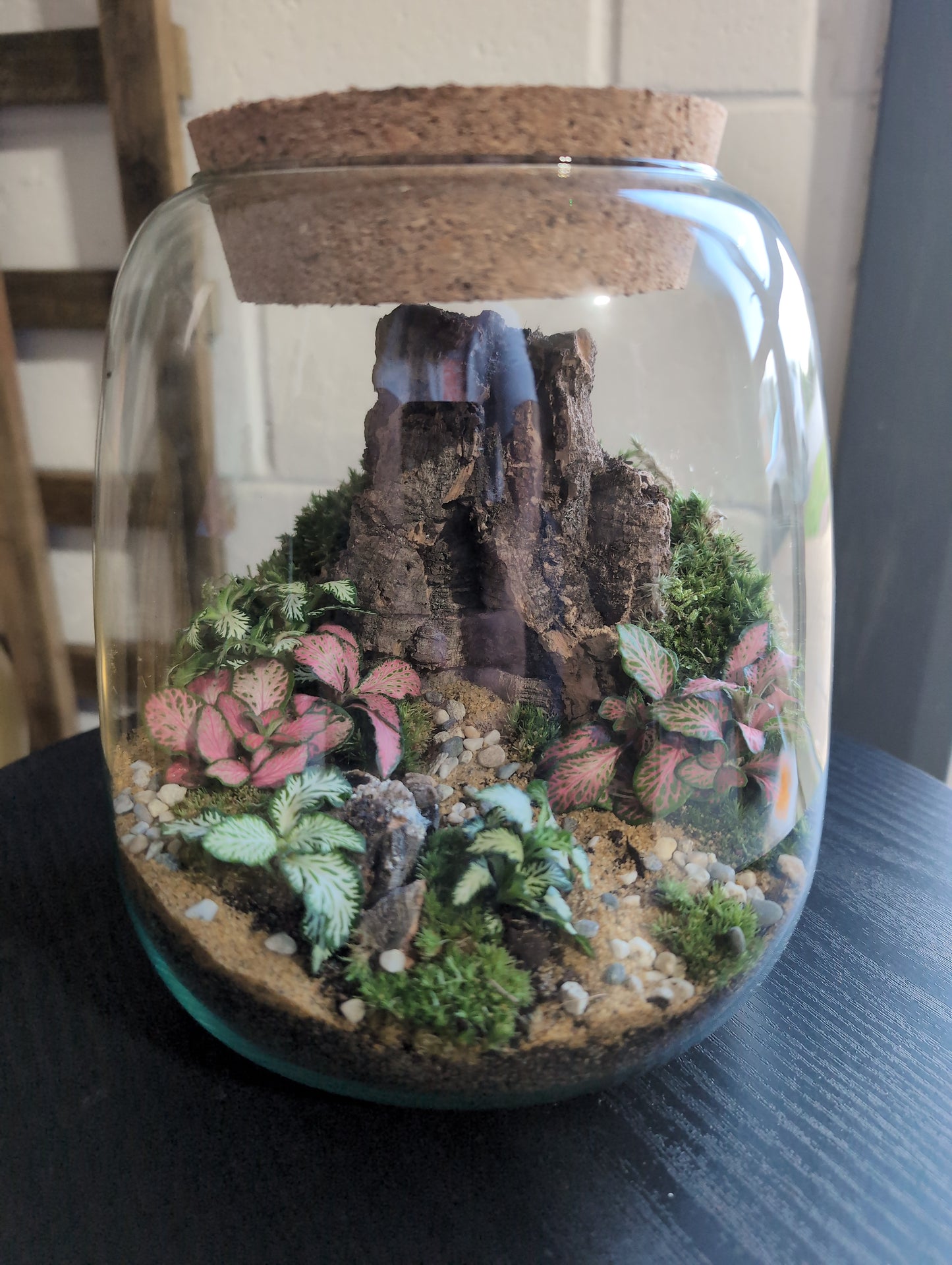 Ready-made Terrarium – Anna Jar