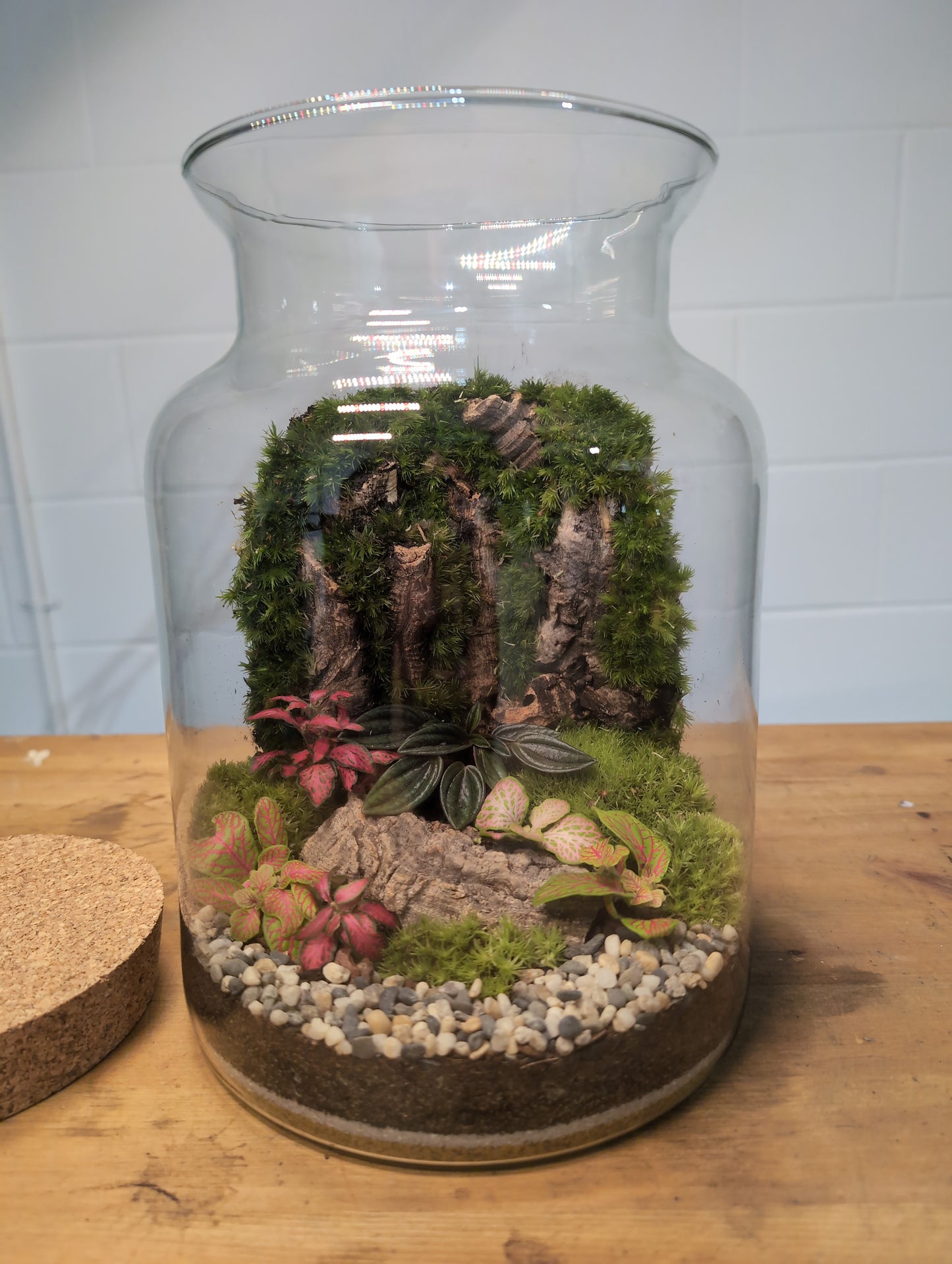Ready-made Terrarium – Unique Jar