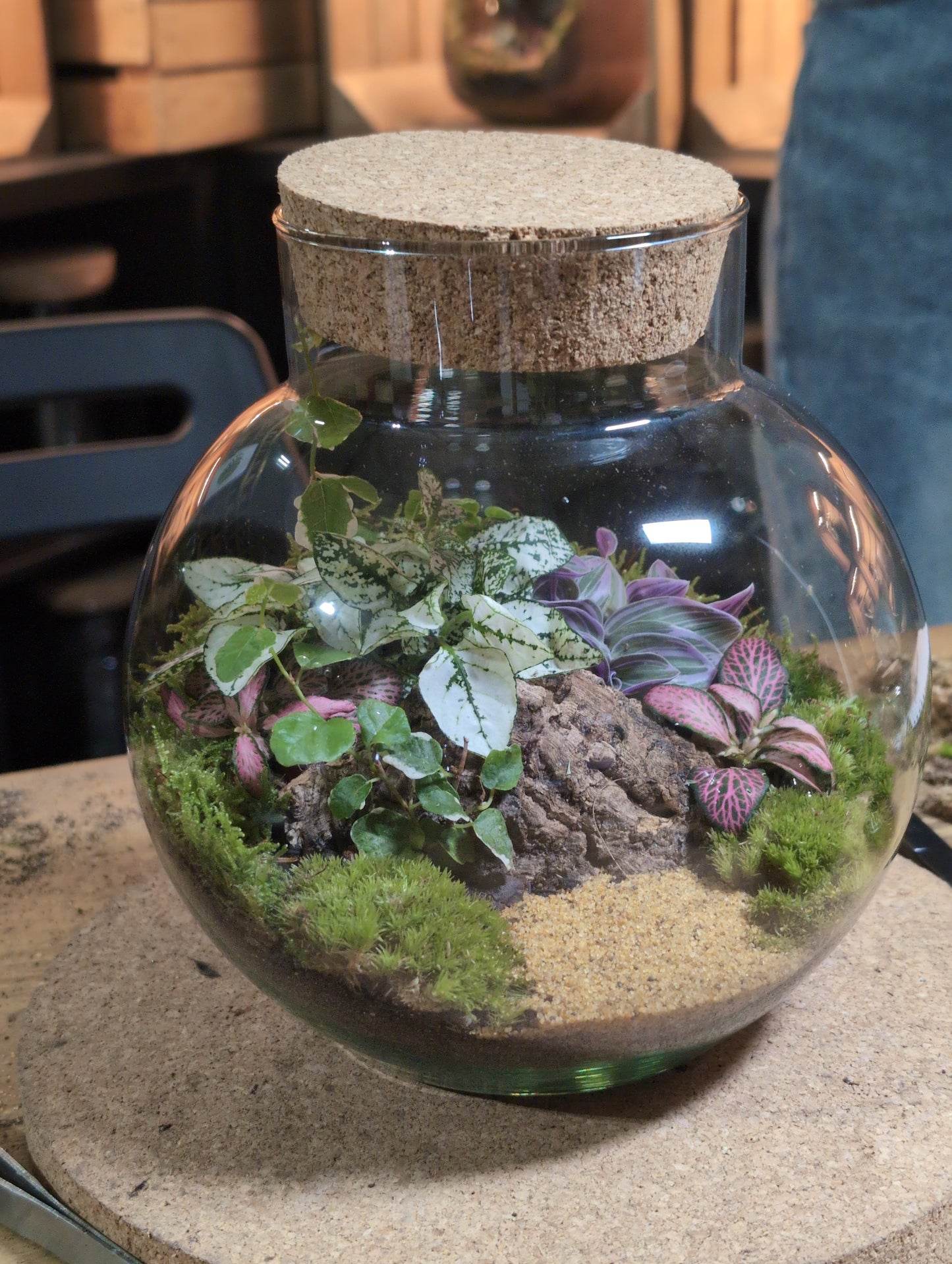 Ready-made Terrarium – George Jar
