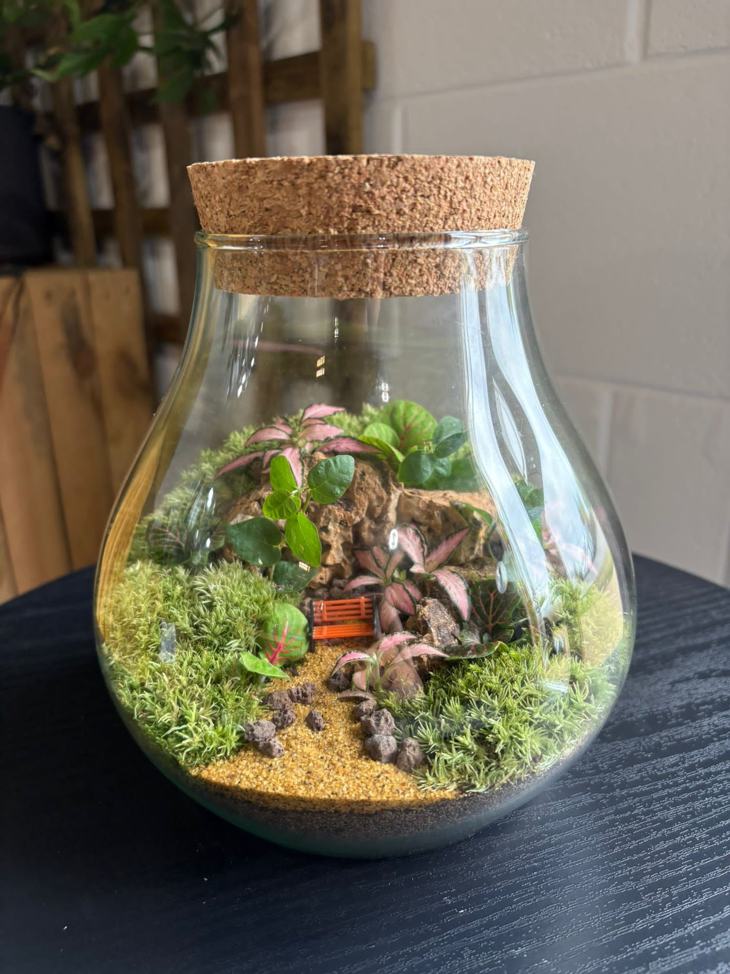 Ready-made Terrarium – Fran Jar