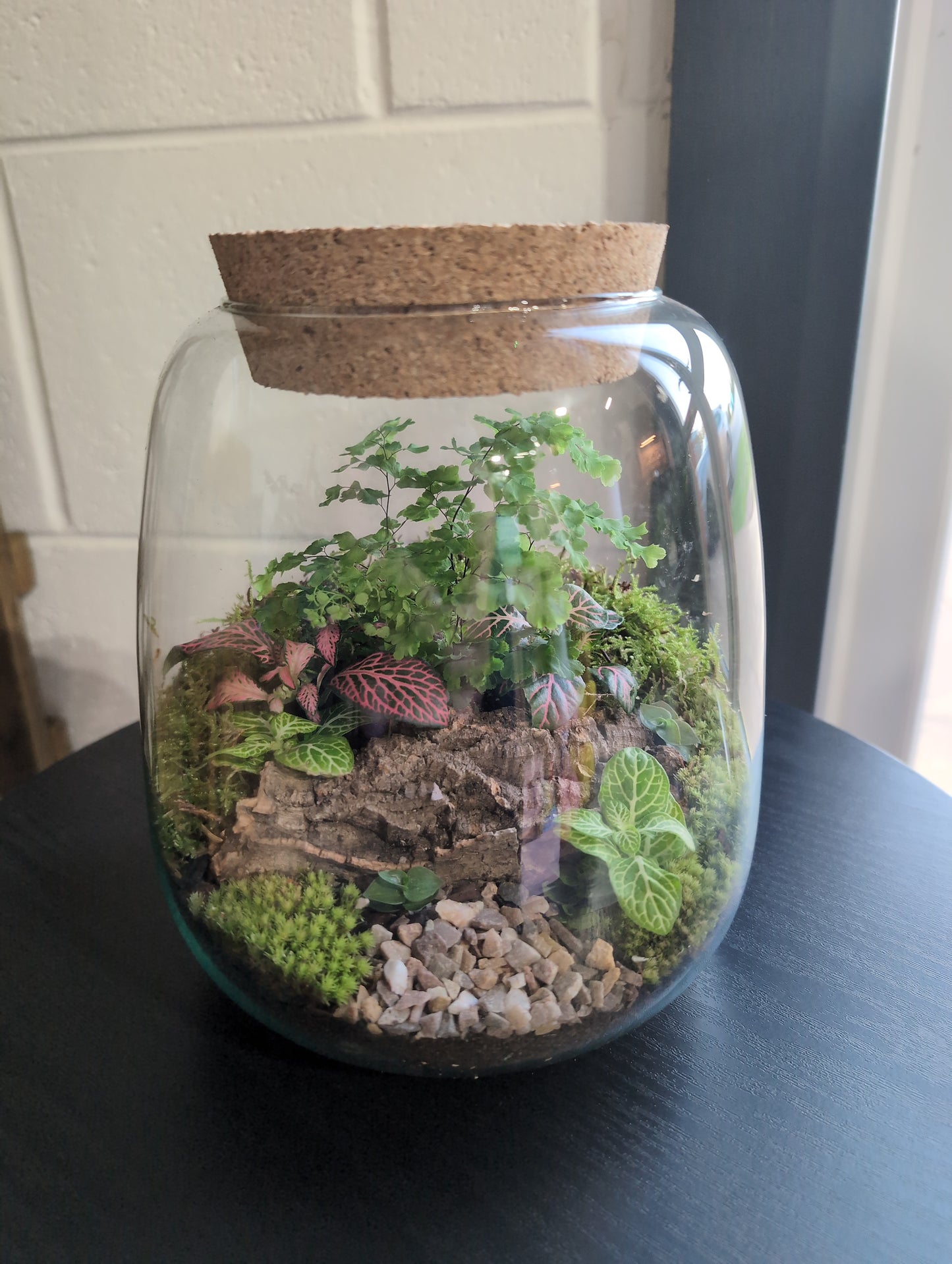 Ready-made Terrarium – Anna Jar