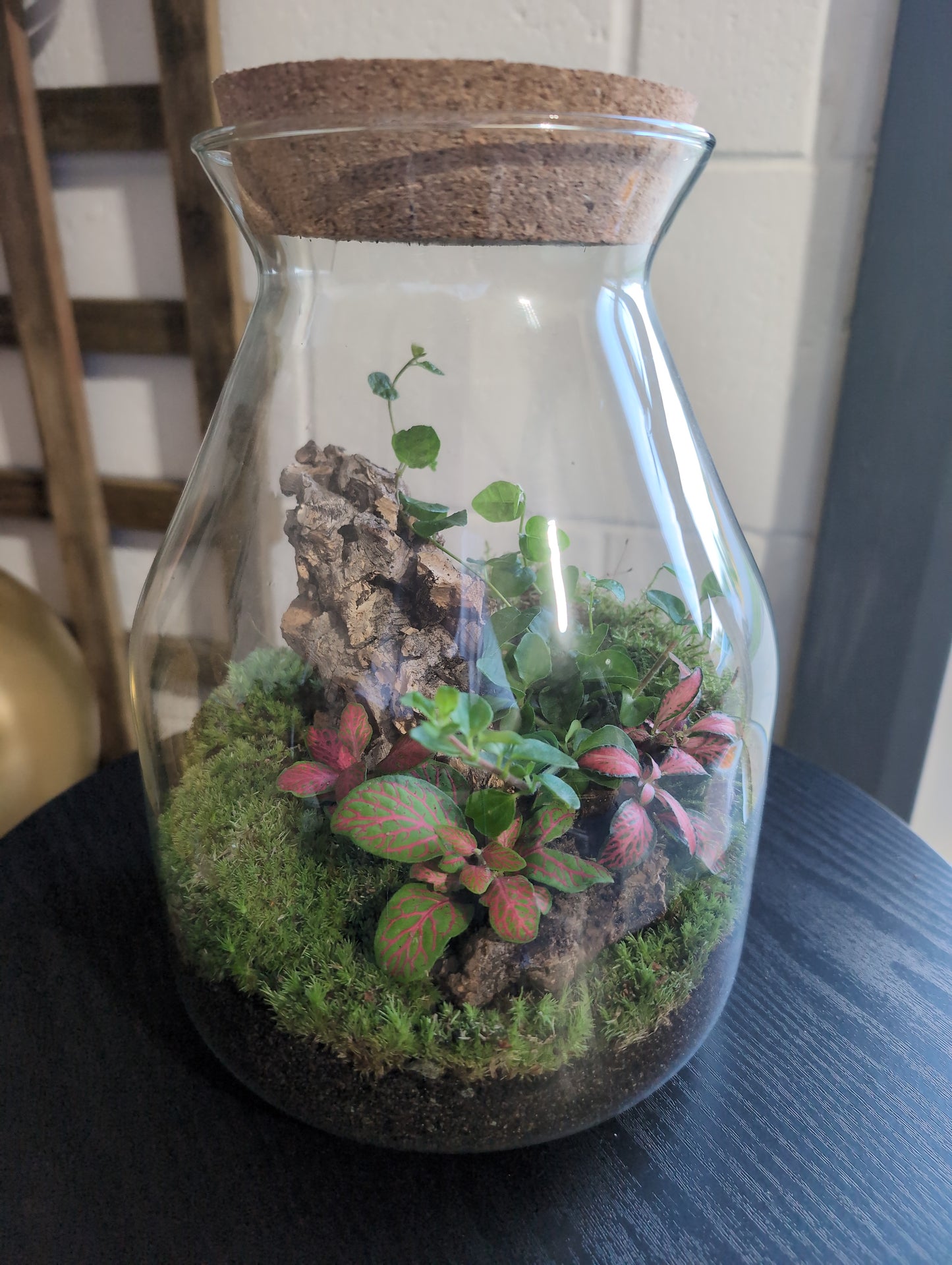 Ready-made Terrarium – Jamie Jar
