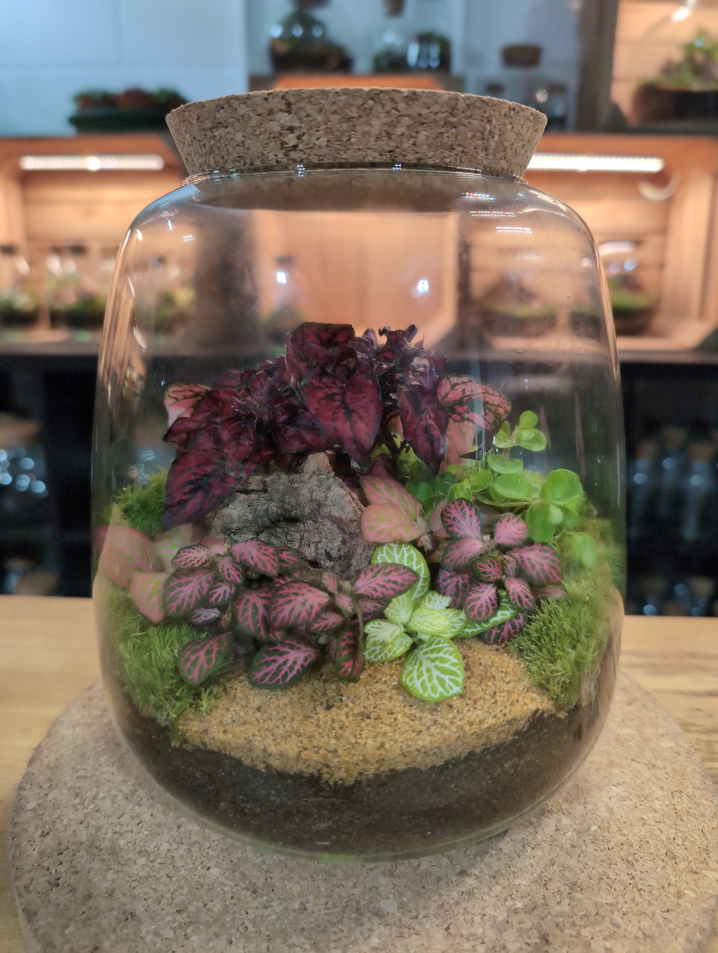 Ready-made Terrarium – Anna Jar
