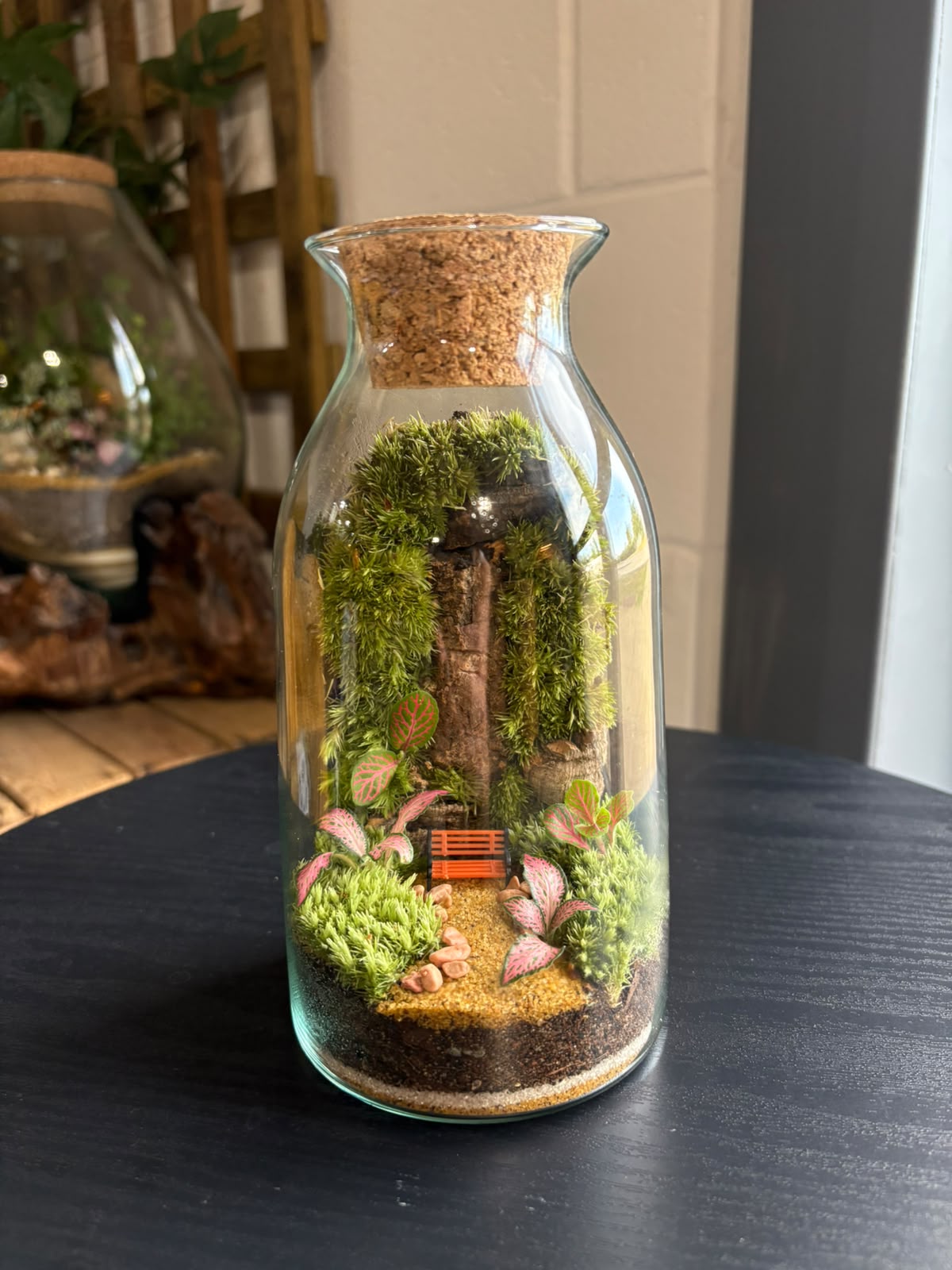 Ready-made Terrarium – Chloe Jar