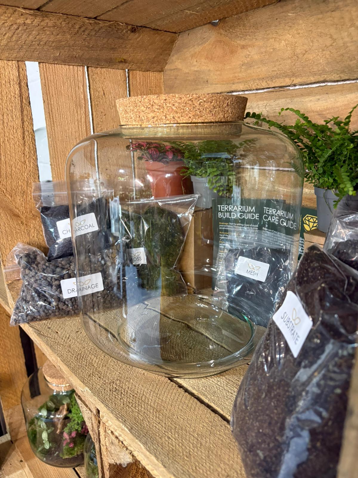 DIY Terrarium Kit - 'Meg'
