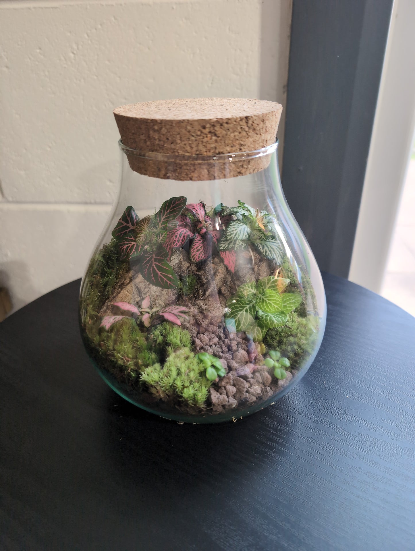 Ready-made Terrarium – Fran Jar
