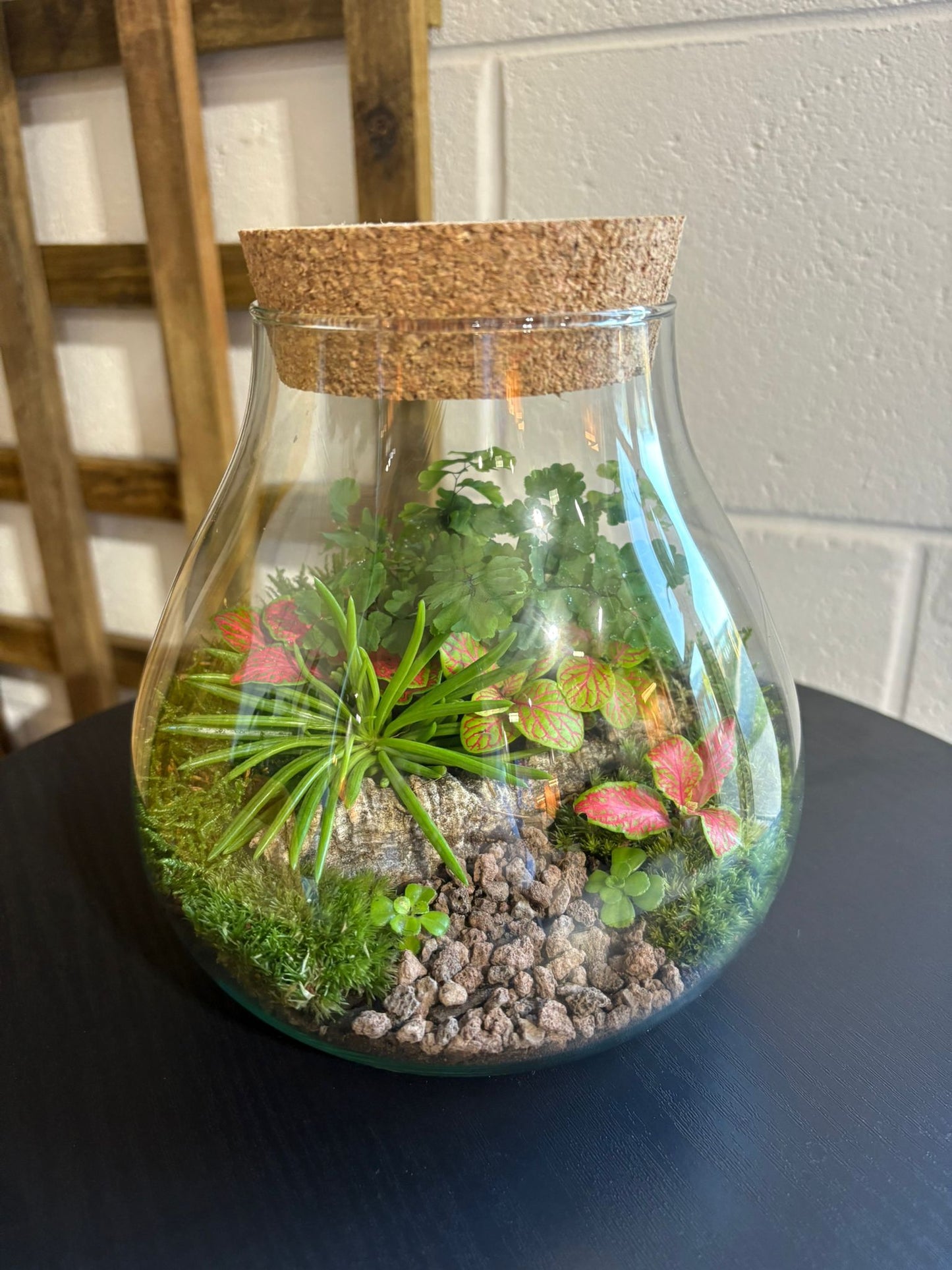 Ready-made Terrarium – Fran Jar