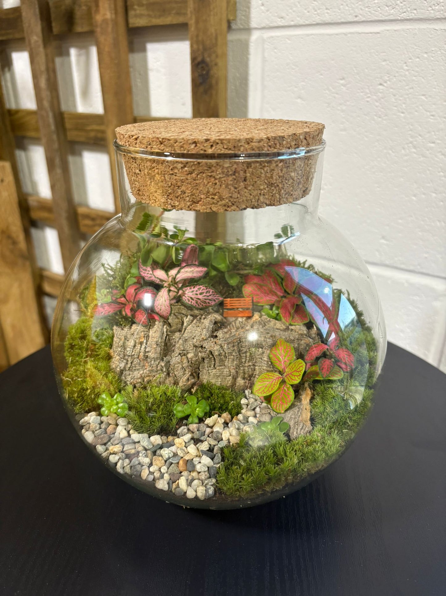 Ready-made Terrarium – George Jar
