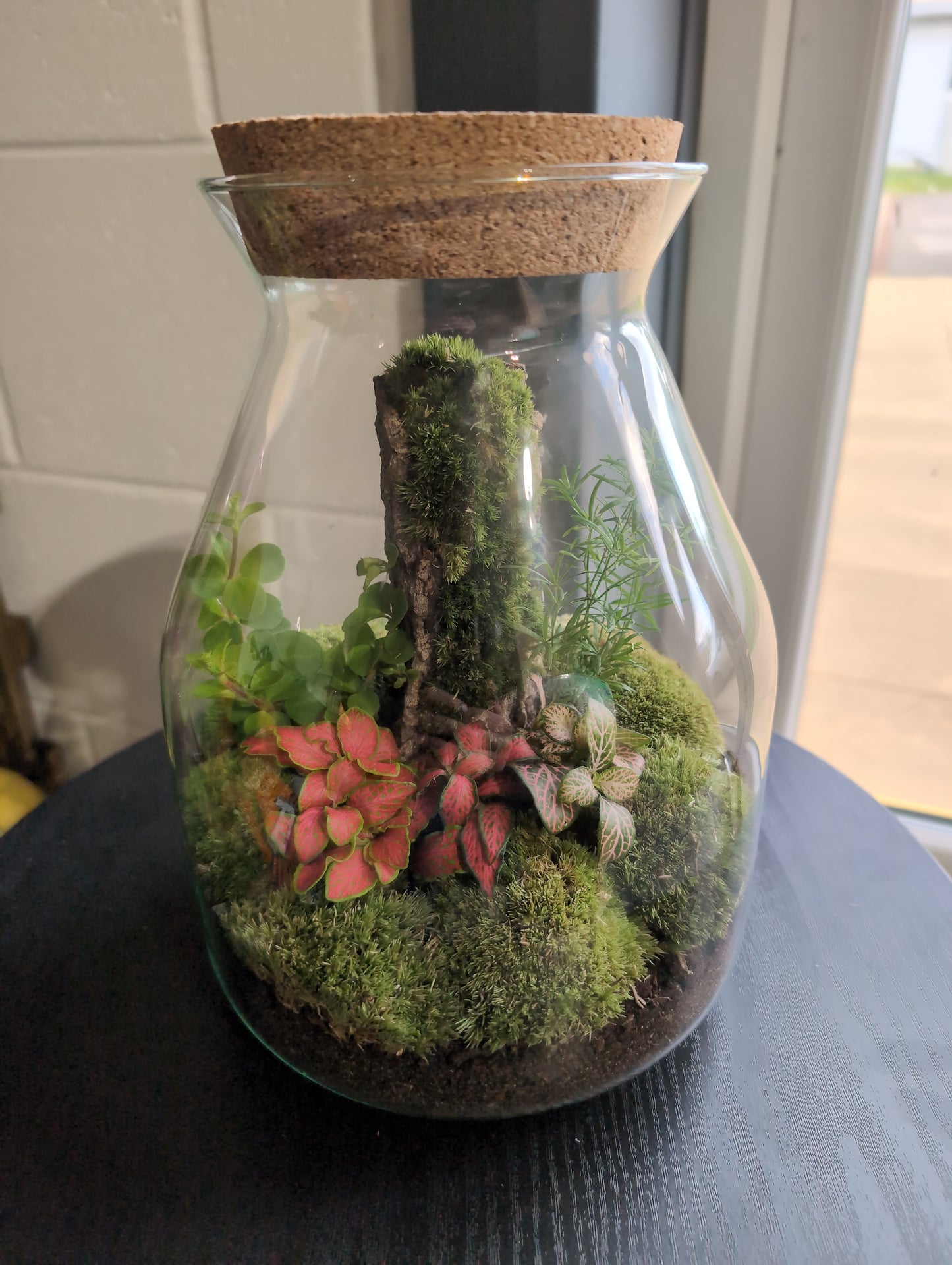 Ready-made Terrarium – Jamie Jar