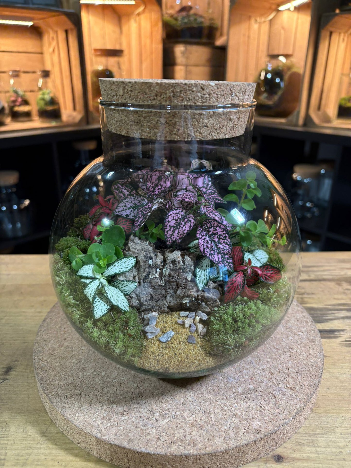 Ready-made Terrarium – George Jar
