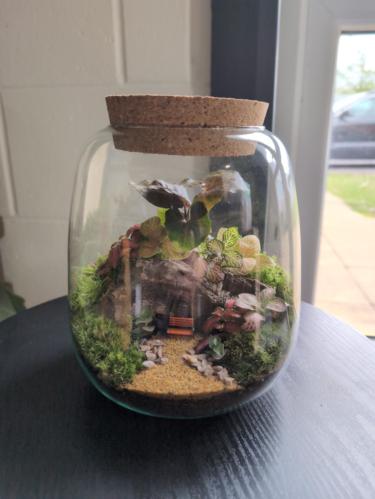 Ready-made Terrarium – Anna Jar