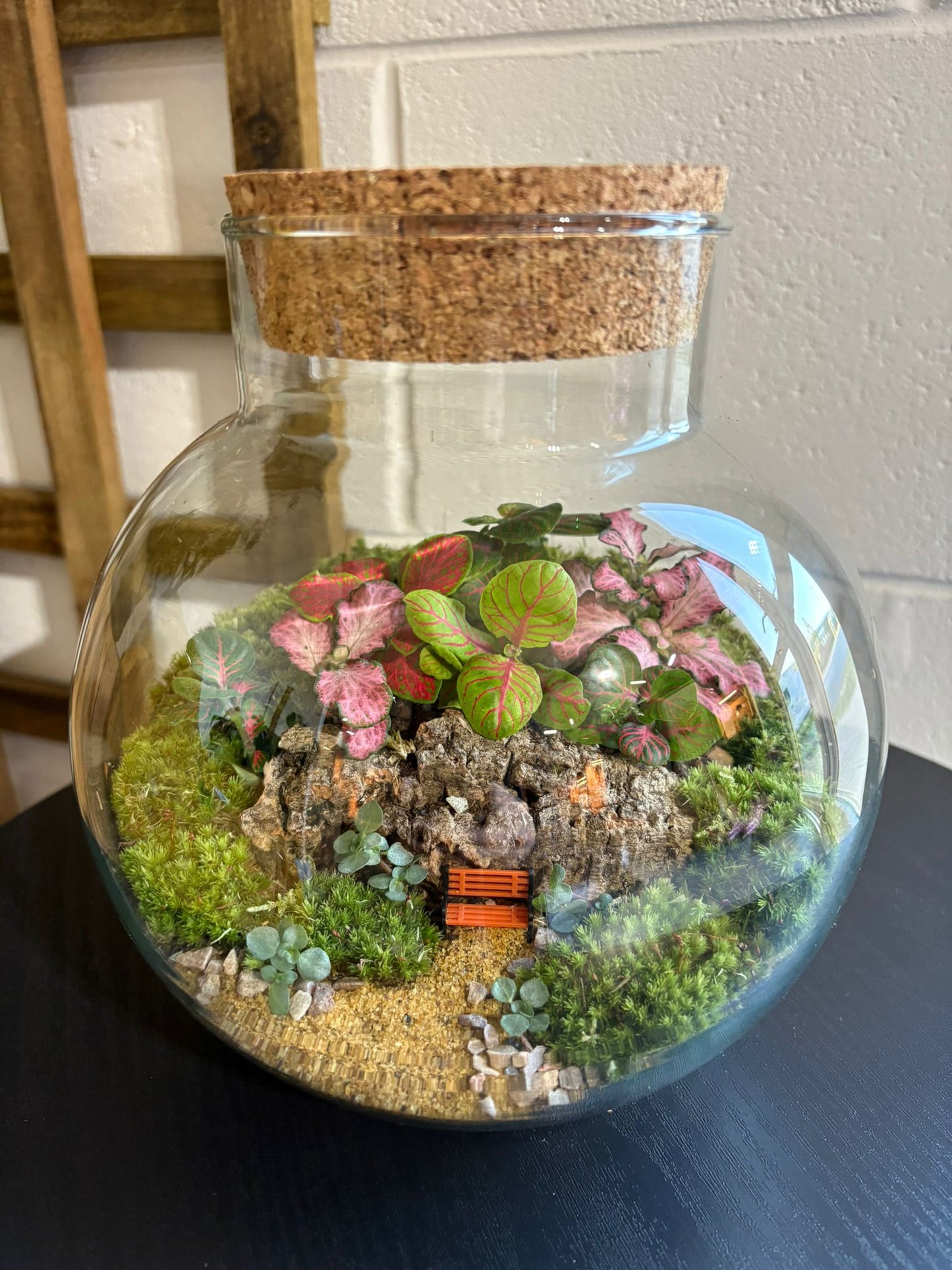 Ready-made Terrarium – George Jar