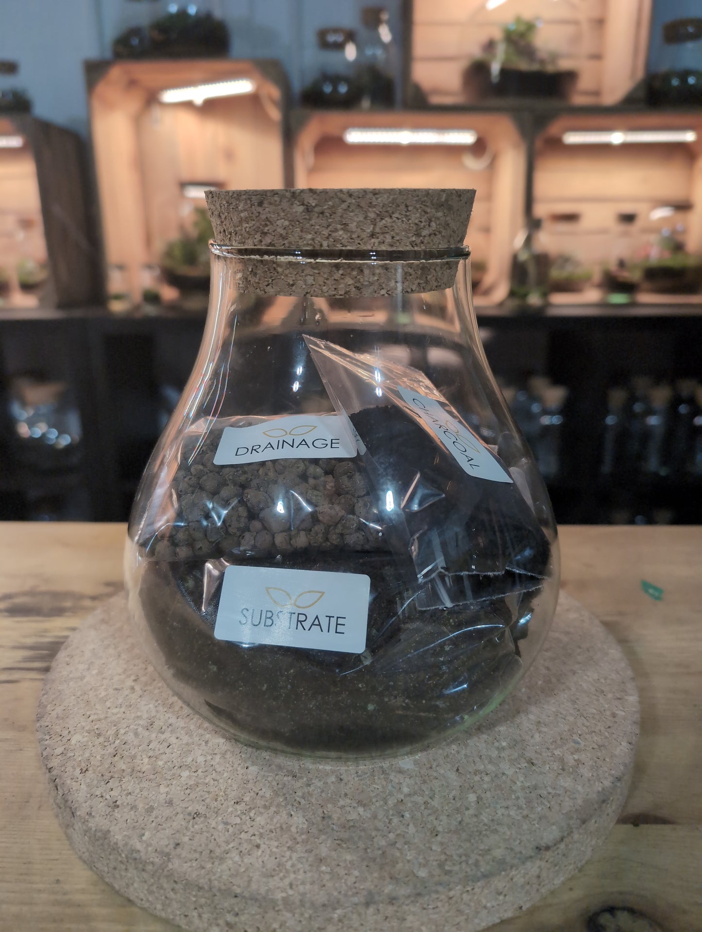 Ready-made Terrarium – Fran Jar