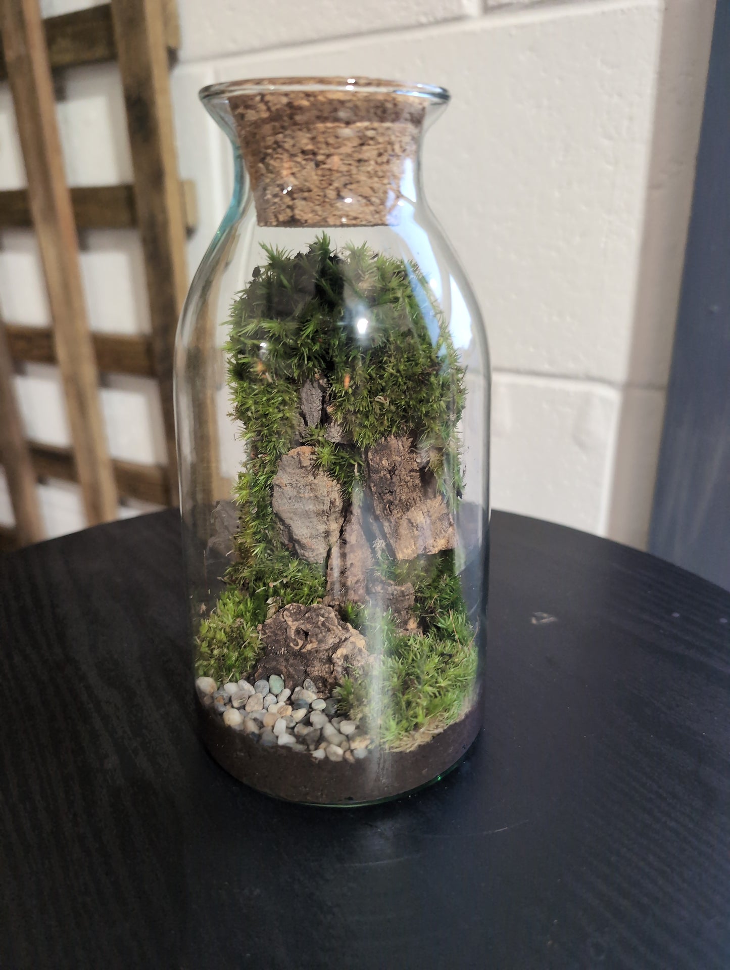 Ready-made Terrarium – Chloe Jar